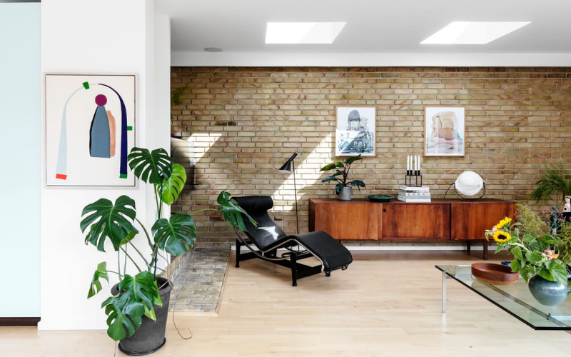 salon avec plantes