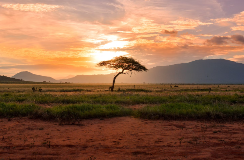 Coucher de soleil en Afrique