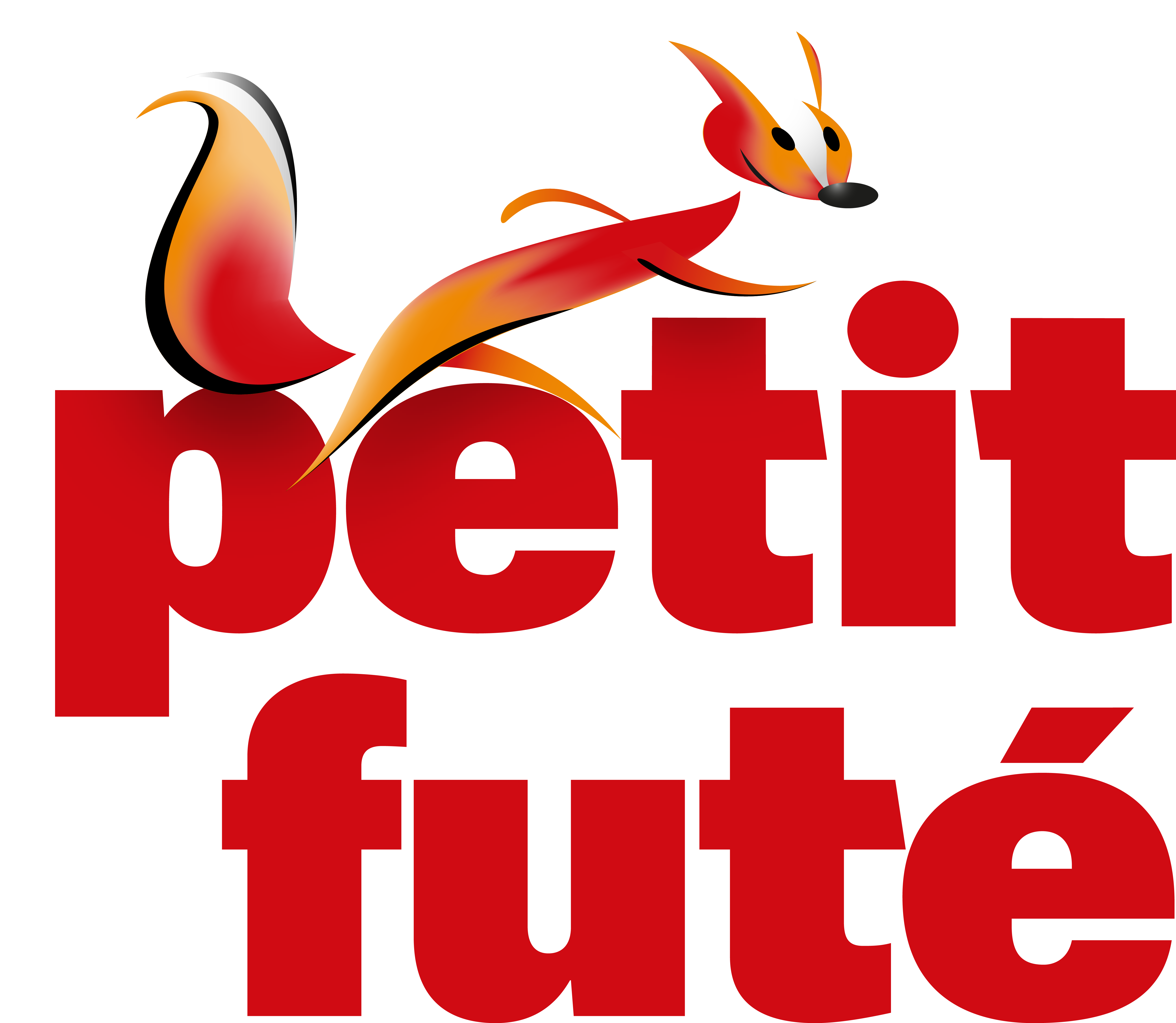 Le Petit Futé Logo